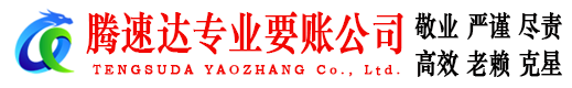 潘集讨债公司